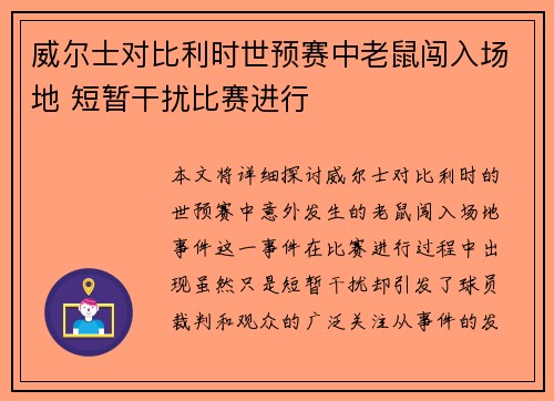 威尔士对比利时世预赛中老鼠闯入场地 短暂干扰比赛进行